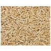 Grains Kamut Berries (1x25LB )Bulk Grains, 100% Organic Kamut Berries, 25 Lbs