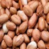 Nuts Raw Spanish Peanuts Usa (1x30LB )