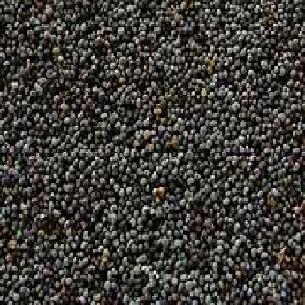 Seeds Poppy Seeds (1x5LB )