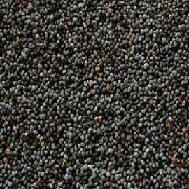 Seeds Poppy Seeds (1x5LB )