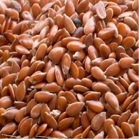 Seeds Flax Seeds (1x25LB )